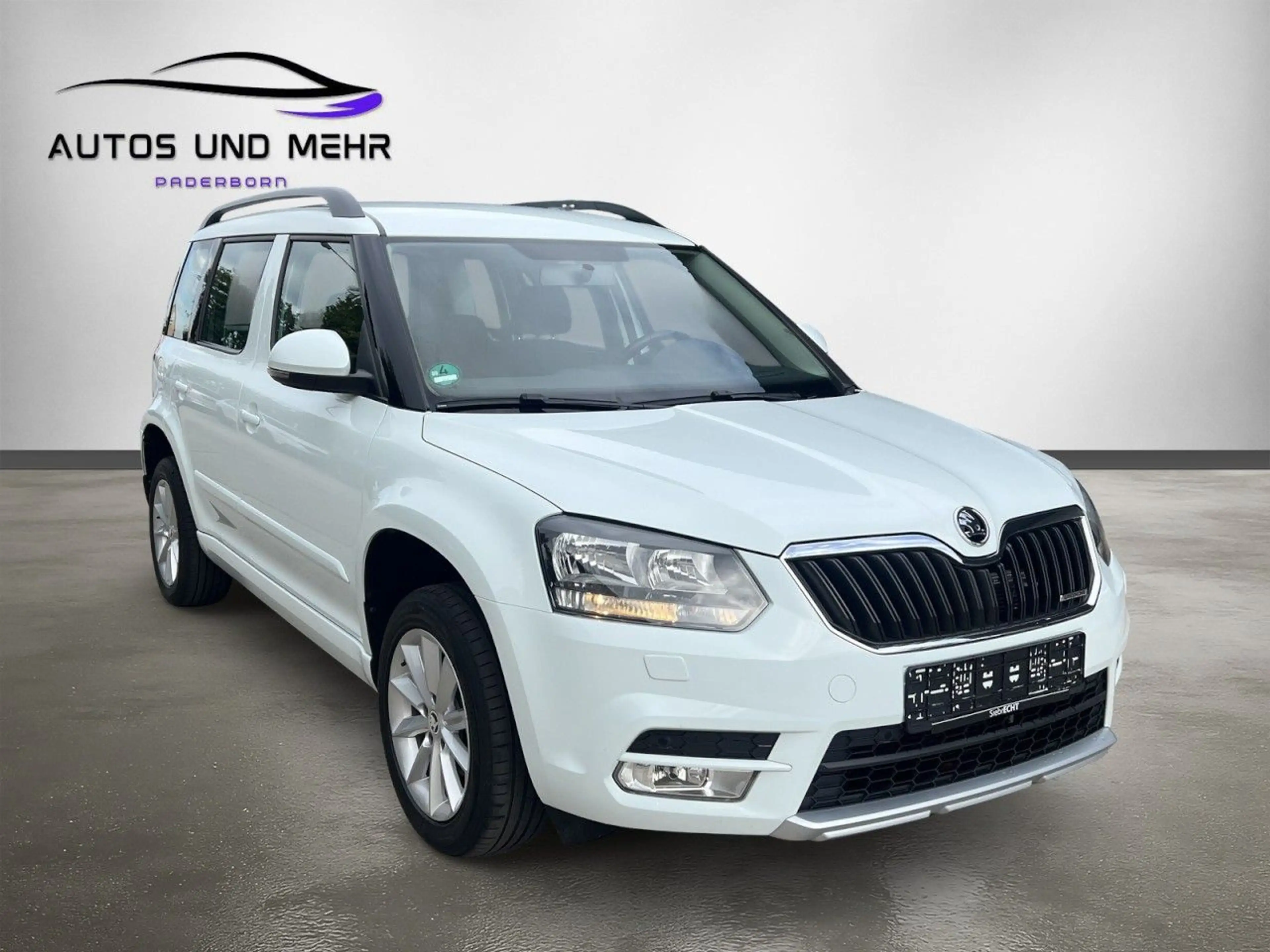 Skoda Yeti Greenline Klima Einparkhilfe Sitzheizung — photo 3