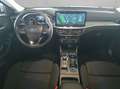 Ford Focus Turnier 1.5 EcoBlue Aut. TITANIUM EDITION Weiß - thumbnail 9