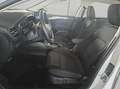 Ford Focus Turnier 1.5 EcoBlue Aut. TITANIUM EDITION Weiß - thumbnail 6