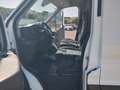 Ford Transit FT 350 L2 Van  Trend Tracción Trasera 130 Trend Blanco - thumbnail 19