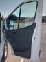 Ford Transit FT 350 L2 Van  Trend Tracción Trasera 130 Trend Blanco - thumbnail 14