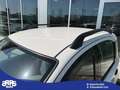 Fiat Panda Panda 1.3 MJT 16V 4x4 Climbing Blanc - thumbnail 11