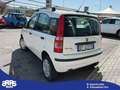 Fiat Panda Panda 1.3 MJT 16V 4x4 Climbing Blanc - thumbnail 5