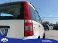 Fiat Panda Panda 1.3 MJT 16V 4x4 Climbing Blanc - thumbnail 8
