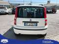 Fiat Panda Panda 1.3 MJT 16V 4x4 Climbing Blanc - thumbnail 7