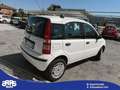 Fiat Panda Panda 1.3 MJT 16V 4x4 Climbing Blanc - thumbnail 6