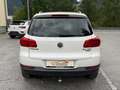 Volkswagen Tiguan Tiguan 2,0 TDI BMT 4Motion Sky DPF DSG /Pano/AHK/ Weiß - thumbnail 6