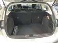 Ford Focus 1.0 EcoBoost 125PS TITANIUM SYNC4 LED Silber - thumbnail 6