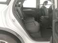 Audi Q5 sportback 40 2.0 tdi 12v quattro s-tronic Advanced Bianco - thumbnail 9