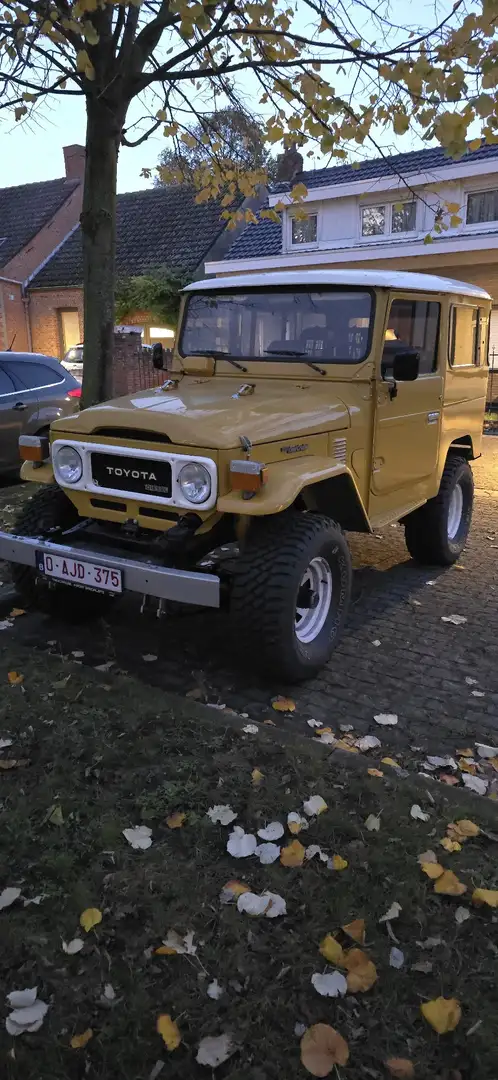 Toyota Land Cruiser BJ42 - 1