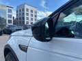 Land Rover Discovery Sport 2.0 TD4 150 CV SE AUTOCARRO Bianco - thumbnail 14