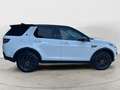 Land Rover Discovery Sport 2.0 TD4 150 CV SE AUTOCARRO Bianco - thumbnail 11