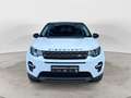 Land Rover Discovery Sport 2.0 TD4 150 CV SE AUTOCARRO Bianco - thumbnail 8