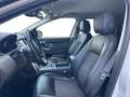 Land Rover Discovery Sport 2.0 TD4 150 CV SE AUTOCARRO Bianco - thumbnail 3