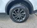 Land Rover Discovery Sport 2.0 TD4 150 CV SE AUTOCARRO Bianco - thumbnail 9
