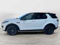 Land Rover Discovery Sport 2.0 TD4 150 CV SE AUTOCARRO Bianco - thumbnail 6
