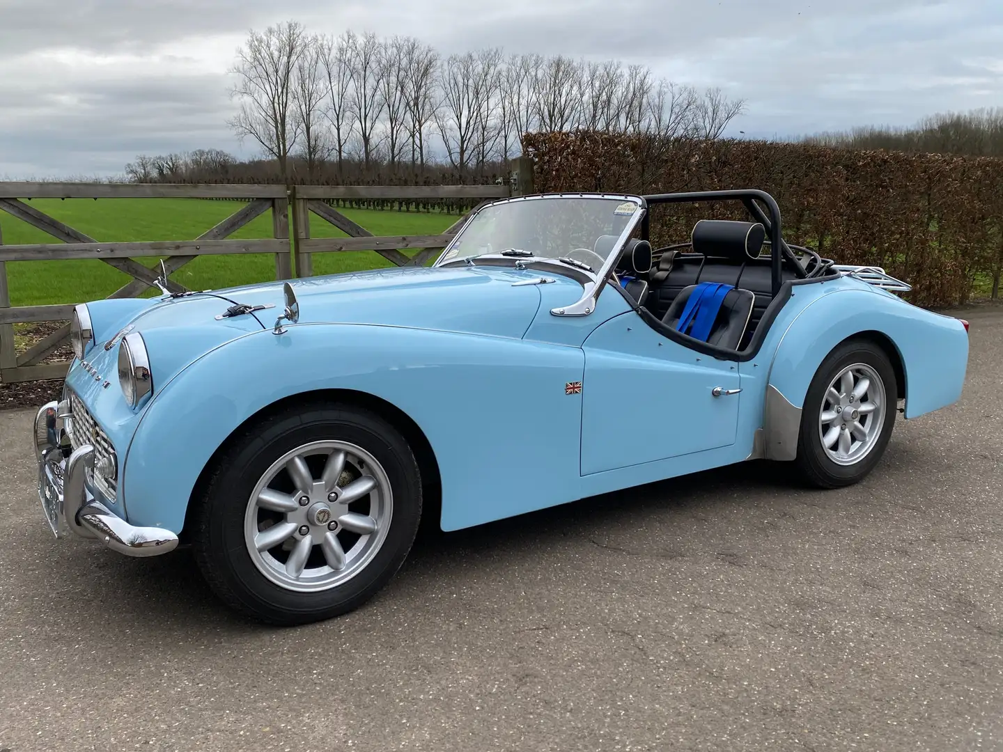 Triumph TR3 Blu/Azzurro - 1