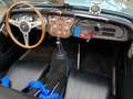 Triumph TR3 Blu/Azzurro - thumbnail 6