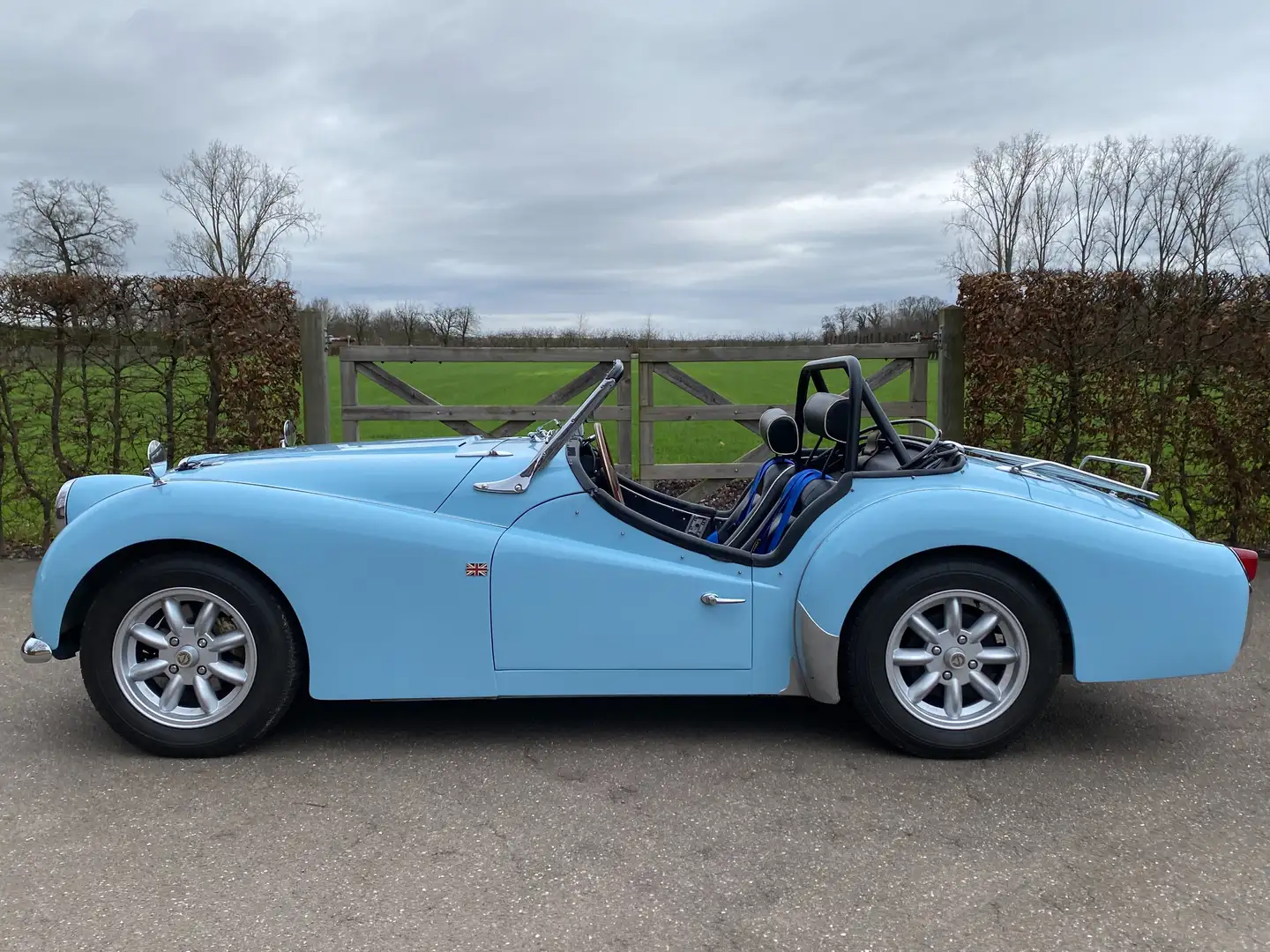 Triumph TR3 Blu/Azzurro - 2