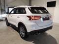 SWM G01 A 1.5T Automatik 133 PS Navi-AppleCarPlay-Andro... Wit - thumbnail 6