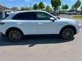 Porsche Cayenne Cayenne 3.0i V6 PHEV Tiptronic S Blanco - thumbnail 2