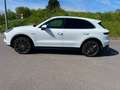 Porsche Cayenne Cayenne 3.0i V6 PHEV Tiptronic S Blanco - thumbnail 5