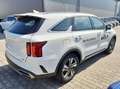 Kia Sorento Vision 2023 1.6T PHEV AWD Style-Paket To Weiß - thumbnail 3