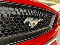 Ford Mustang Fastback 5.0 V8 TiVCT GT Czerwony - thumbnail 21