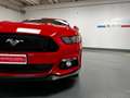 Ford Mustang Fastback 5.0 V8 TiVCT GT Czerwony - thumbnail 18