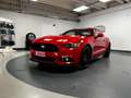 Ford Mustang Fastback 5.0 V8 TiVCT GT Rojo - thumbnail 17