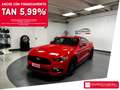 Ford Mustang Fastback 5.0 V8 TiVCT GT Czerwony - thumbnail 1