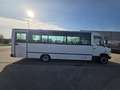 Mercedes-Benz Vario 813 (Stock ID 36707) Weiß - thumbnail 7