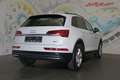 Audi Q5 40 TDI quattro S-tronic *LED, NAVI, VIRTUAL* Weiß - thumbnail 5