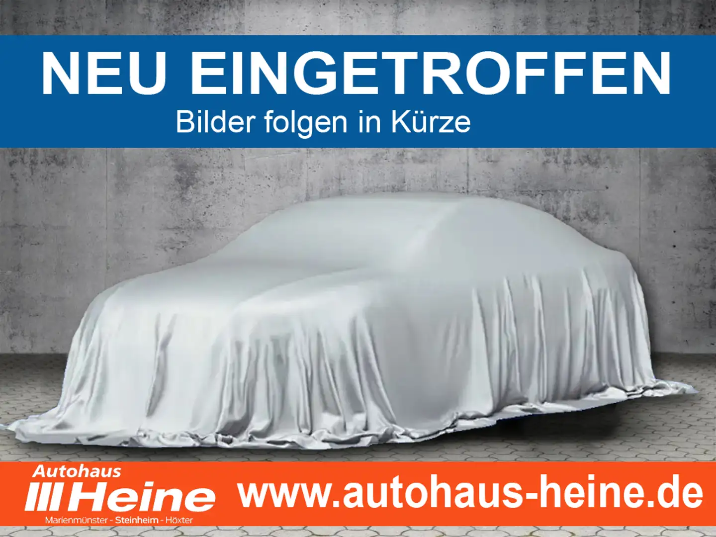 Ford Puma 1.0 EcoBoost Hybrid Aut. ST-LINE Grau - 1