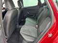 SEAT Ibiza FR 1.0 ECOTSI 110CV KM0 2024 ONLY PROMO Rosso - thumbnail 8