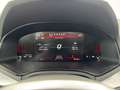 SEAT Ibiza FR 1.0 ECOTSI 110CV KM0 2024 ONLY PROMO Rosso - thumbnail 13