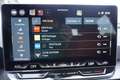 CUPRA Formentor Facelift 1.5 eTSI DSG el.Klappe/Keyless/Winterp. Blau - thumbnail 35