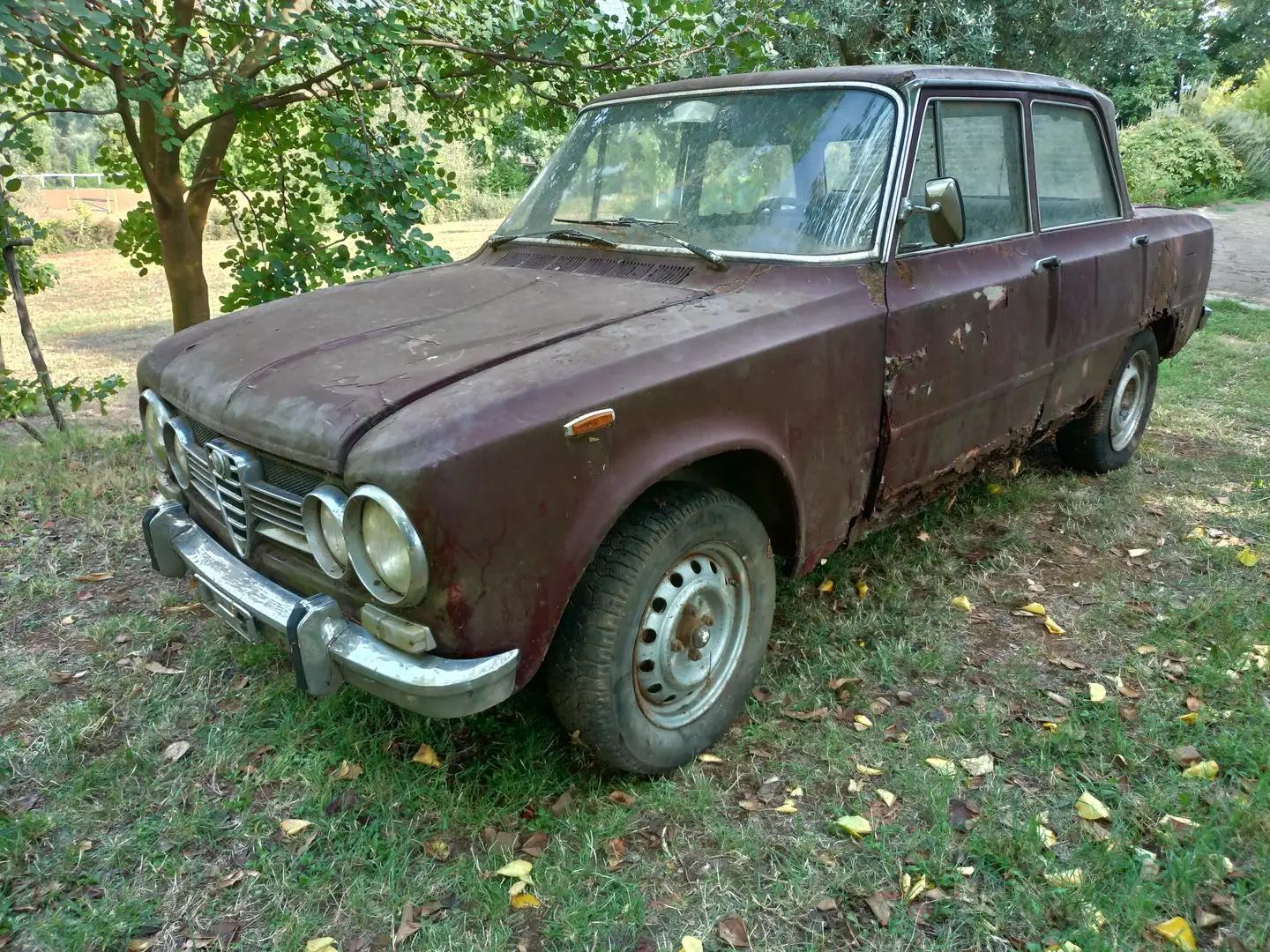 Alfa Romeo Giulia t.i. 1.3 - 1