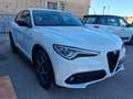 Alfa Romeo Stelvio Stelvio 2.2 Sprint Q4 190 C.V. GARANZIA 12 MESI - thumbnail 2