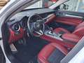 Alfa Romeo Stelvio Stelvio 2.2 Sprint Q4 190 C.V. GARANZIA 12 MESI - thumbnail 10