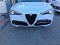 Alfa Romeo Stelvio Stelvio 2.2 Sprint Q4 190 C.V. GARANZIA 12 MESI - thumbnail 4