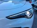 Alfa Romeo Stelvio Stelvio 2.2 Sprint Q4 190 C.V. GARANZIA 12 MESI - thumbnail 5
