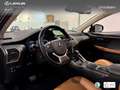 Lexus NX 350h Luxury 2WD Groen - thumbnail 25