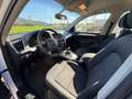 Audi Q5 Q5 2.0 tdi Advanced quattro 143cv Bianco - thumbnail 9