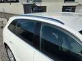 Audi Q5 Q5 2.0 tdi Advanced quattro 143cv Bianco - thumbnail 5