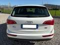 Audi Q5 Q5 2.0 tdi Advanced quattro 143cv Bianco - thumbnail 4