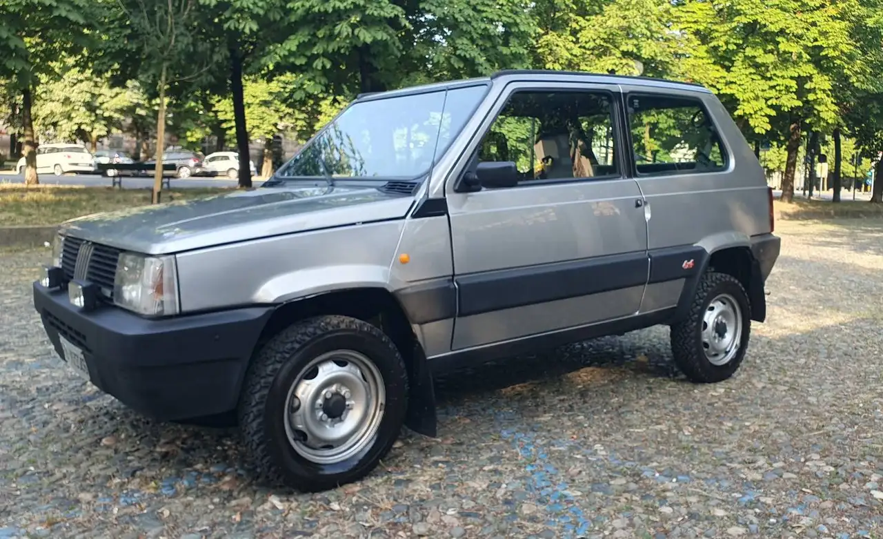 Fiat Panda 1.0 4x4 my86, foto 1