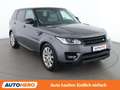 Land Rover Range Rover Sport 3.0 TD V6 HSE Grau - thumbnail 8