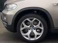 BMW X5 XDrive48i High Executive HUD/7PERS/PANO/LEDER/V8/K Braun - thumbnail 21