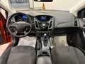 Ford Focus Focus 2.0 TDCi 115CV 5p.Powersh.Tit. Bs. Orange - thumbnail 13